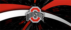 buckeye brilliance award the ohio state university